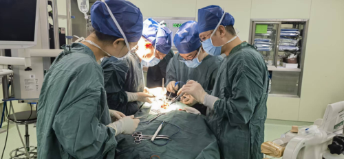 【国家区域医疗中心?名医在身边】榆林首例！交大一附院榆林医院成功实施颈动脉支架-斑块复合体整体切除手术